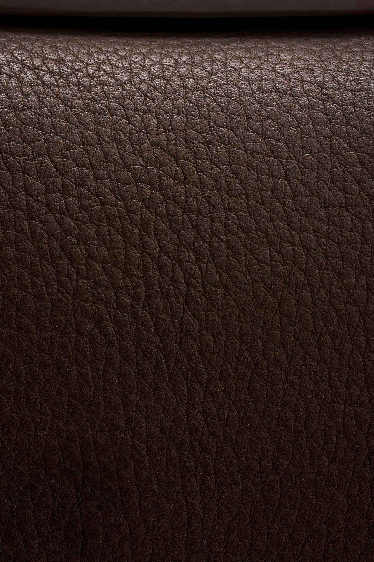 Brown__08
